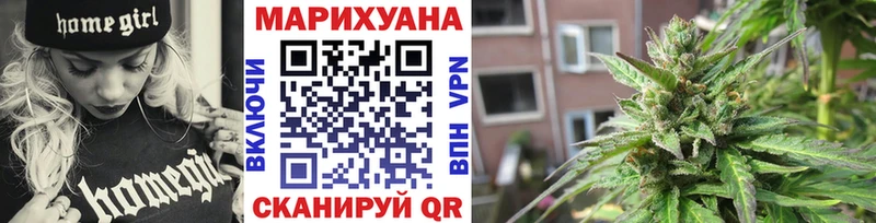 Бошки марихуана сатива  наркотики  Каргополь 